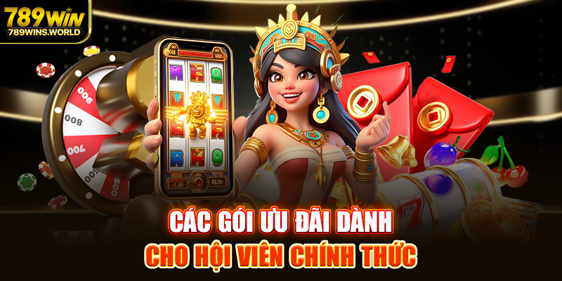 Các gói ưu đãi dành cho hội viên chính thức